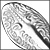 Click here to view items under this Category
